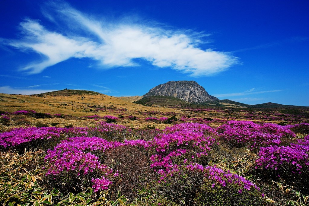 Hàn Quốc nới lỏng visa cho du khách tới thăm đảo Jeju